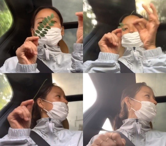 이효리 인스타