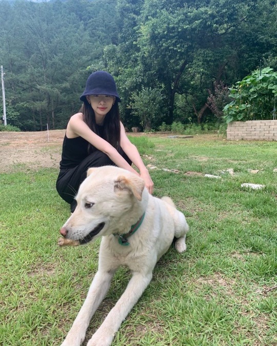 설아 인스타그램