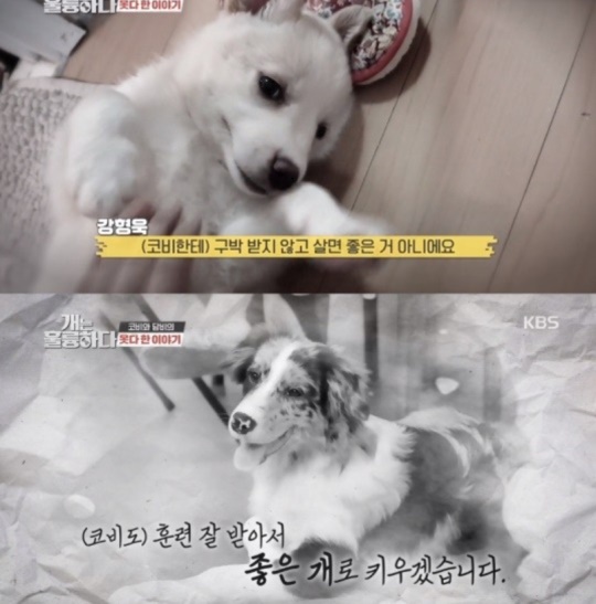 '개는 훌륭하다' 방송캡쳐