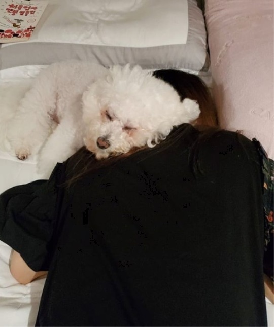 서효림 인스타