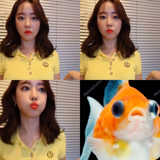 고우리 인스타그램