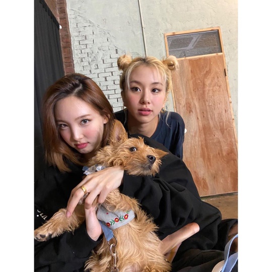 트와이스 인스타그램