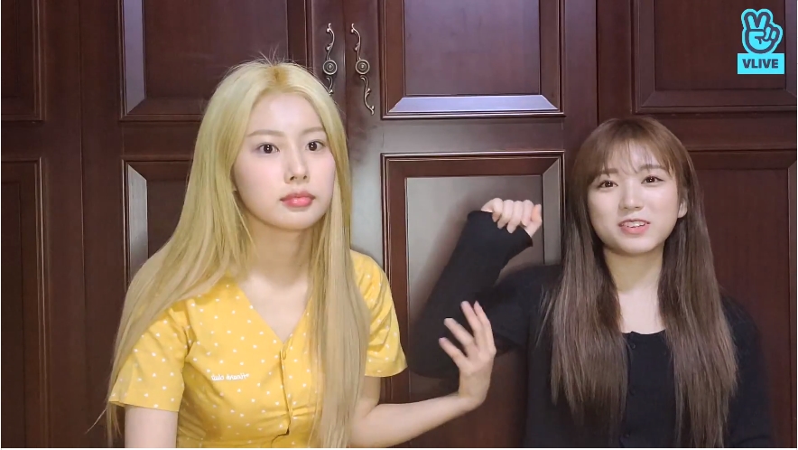 (Naver's V Live)