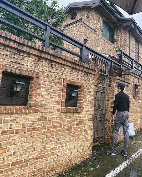 자이언트 핑크 인스타그램