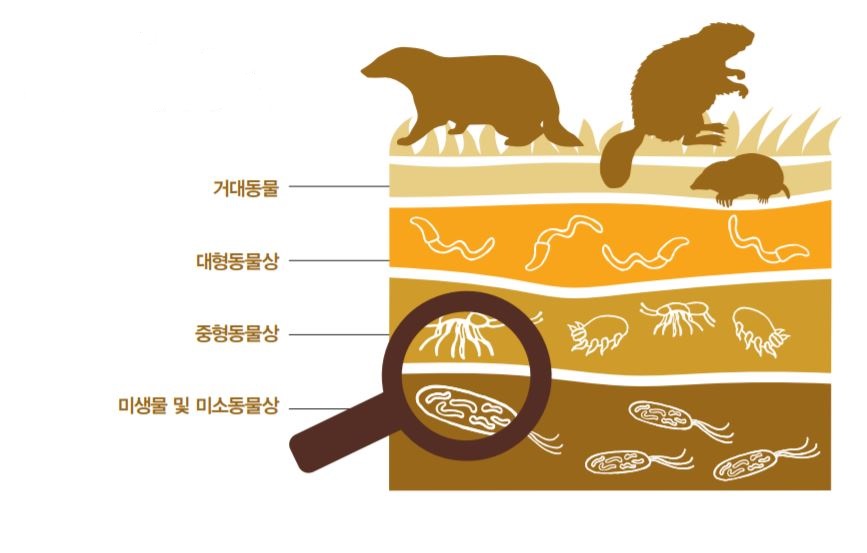 토양생물군집, 토양 생물의 다양성은 육상 생태계(농업, 도시, 산림등을 포함한 모든 생물군계)를 뒷받침한다. [사진=WWF ‘2020 지구생명보고서’]