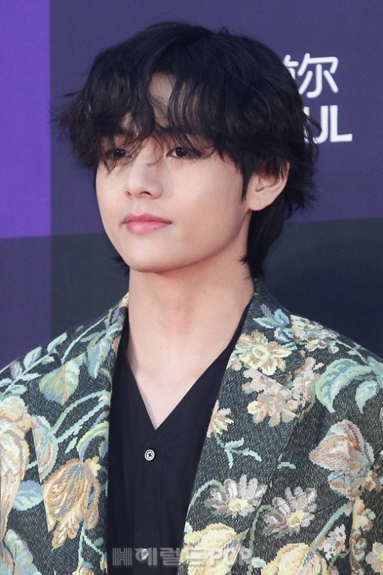 방탄소년단 뷔/사진=헤럴드POP DB