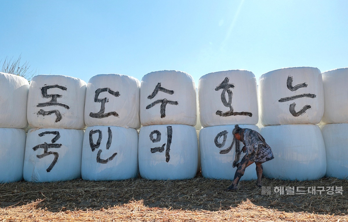 21일 서예가 김동욱씨가경북 포항시 북구 흥해읍 들녘에서 독도 수호 서예 퍼포먼스를 펼쳤다. (김동욱씨 제공)