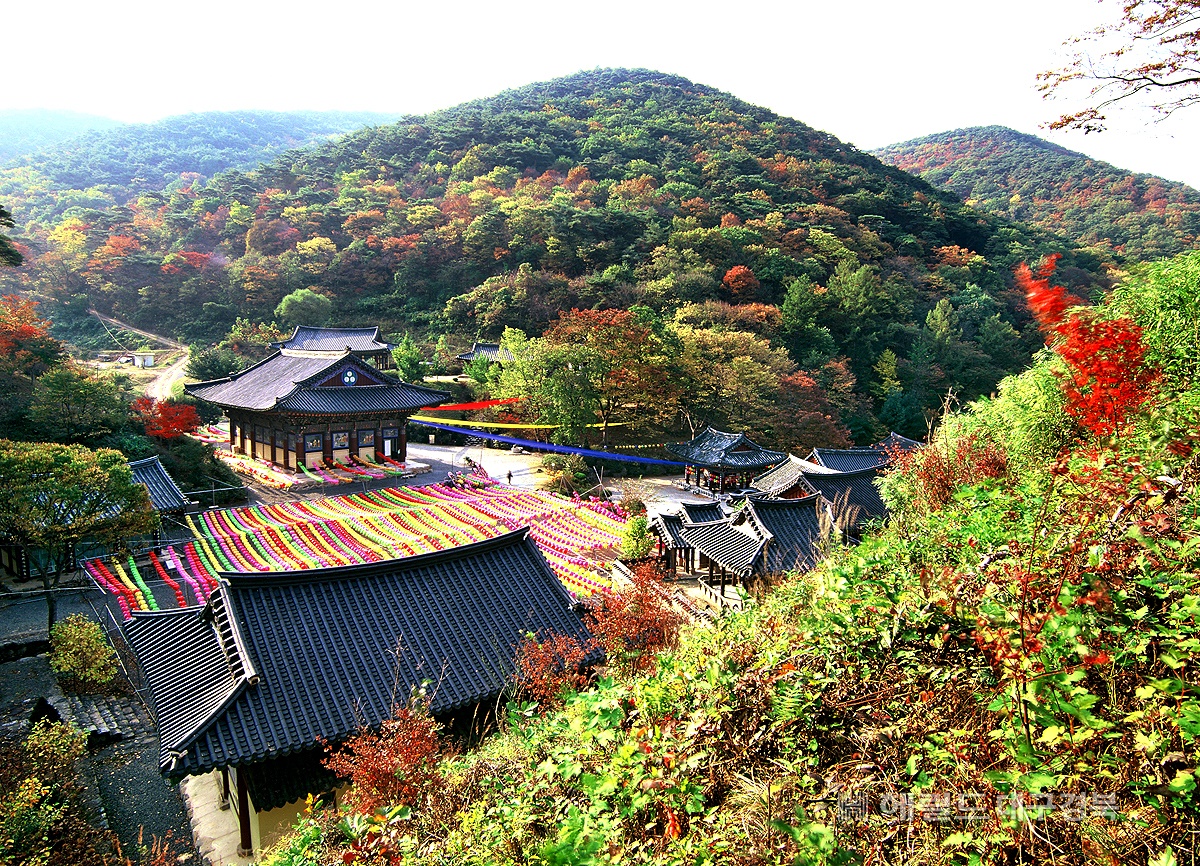 의성 고운사의 아름다운 가울풍경