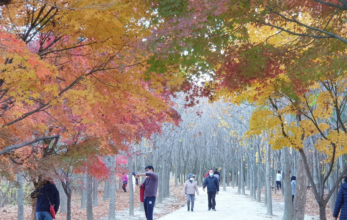[깊어가는 만추의 계절]