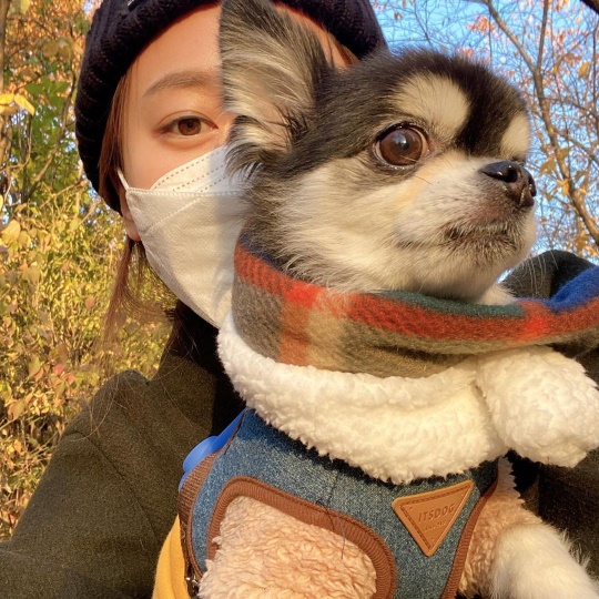 표예진 인스타그램