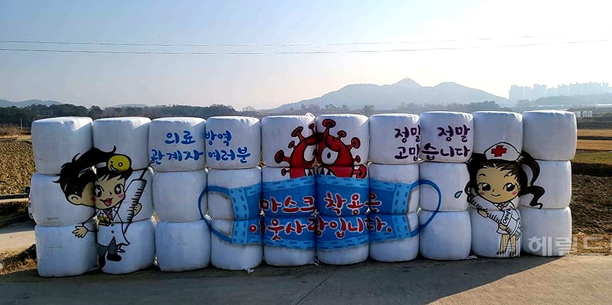 예천군 호명면의   차량동행이 많은 논둑에 원형으로 말아놓은 볏짚을 이용해 만든 홍보조형물이 이색적이다(독자 제공)