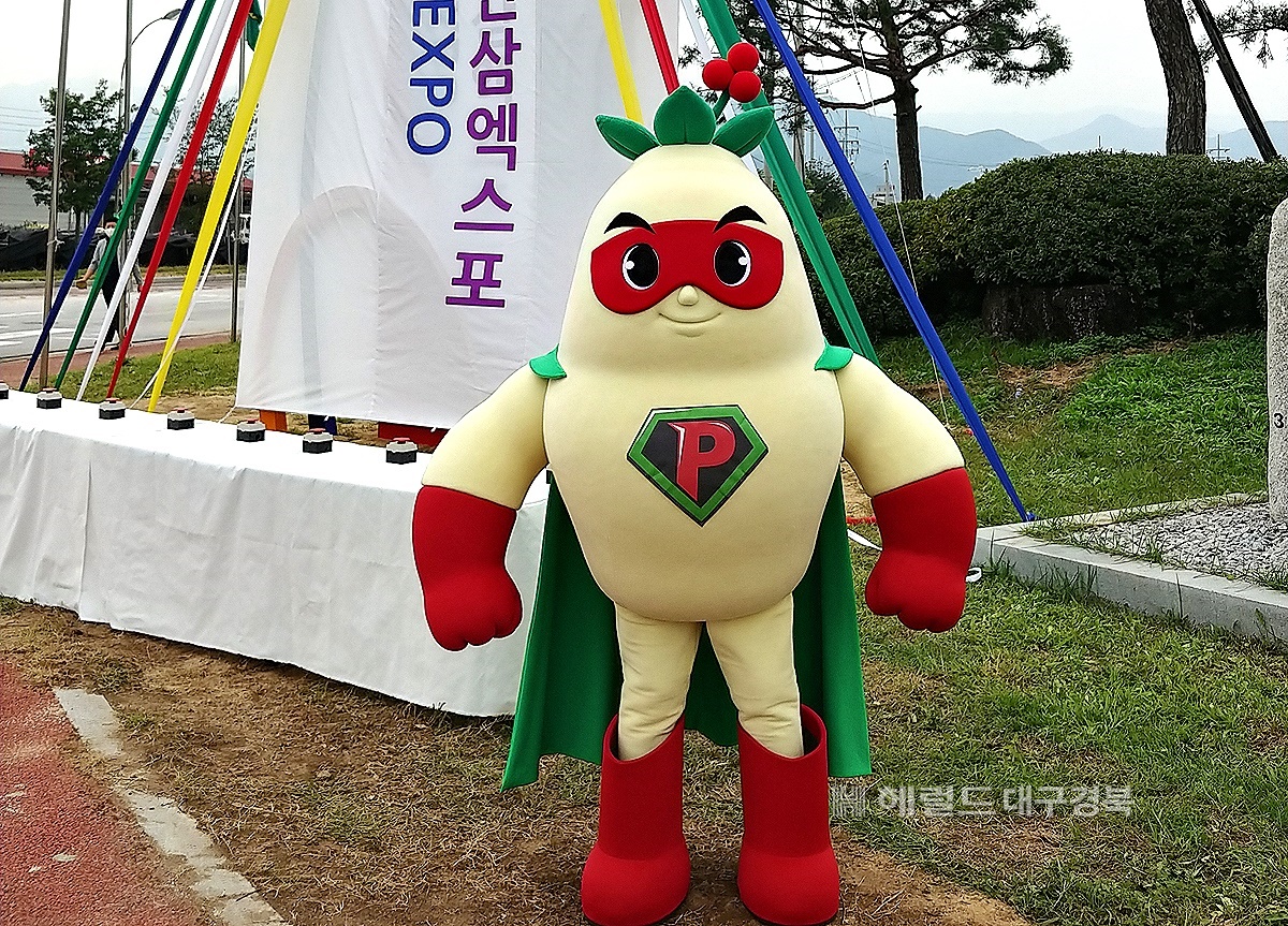 '2021영주세계풍기인삼엑스포' 마스코트 (영주시 제공)