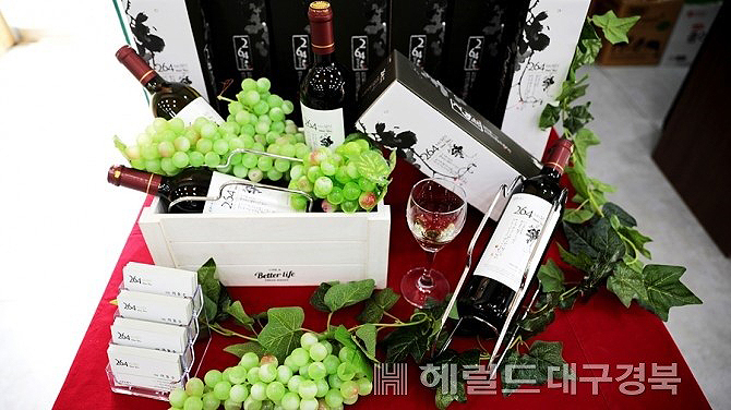 264 청포도 와인