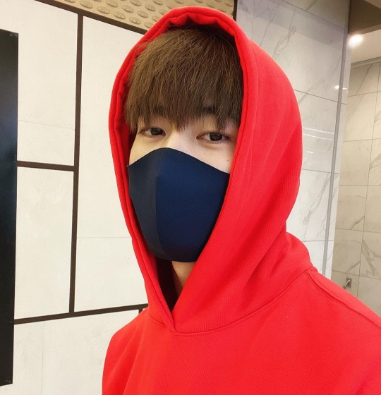 진화 인스타그램