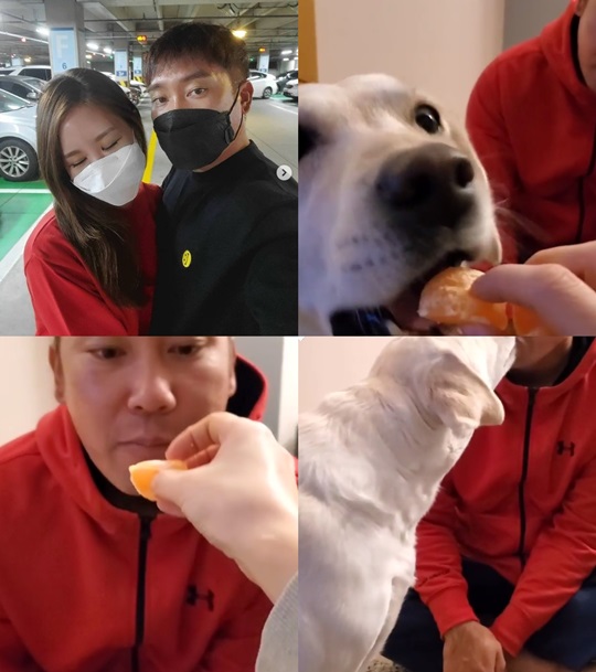 채리나 인스타