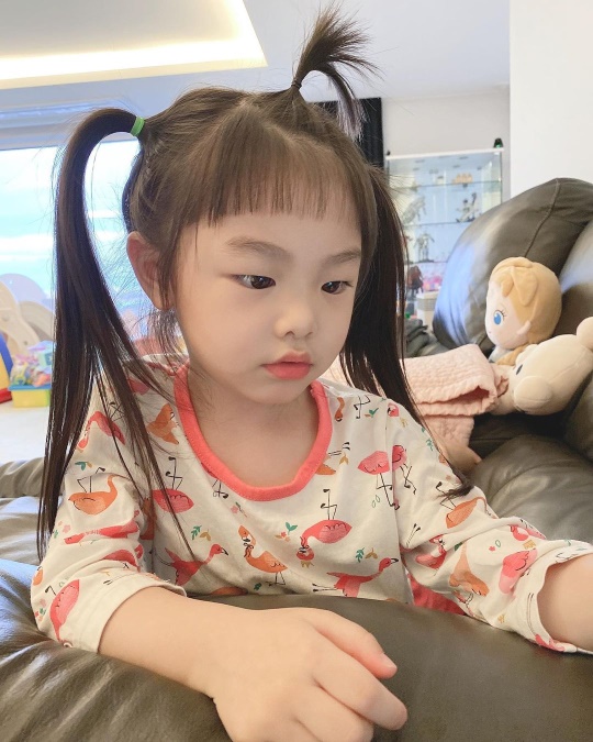 잼잼이 인스타그램