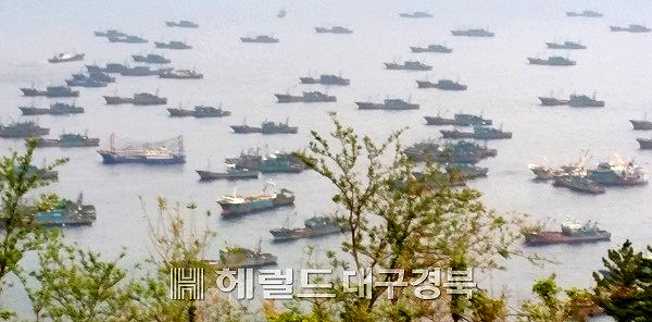 해마다 겨울철만 되면  ‘검은 중국선단’  들이 울릉도 인근 해역을 애워싸고 있다(헤럴드 DB)