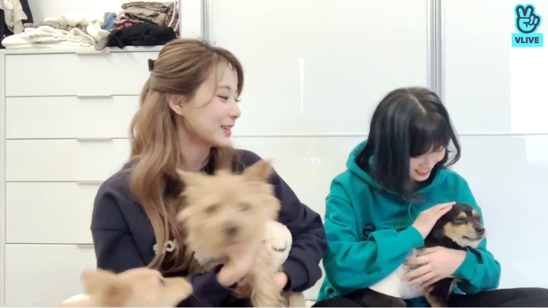(Naver's V Live)