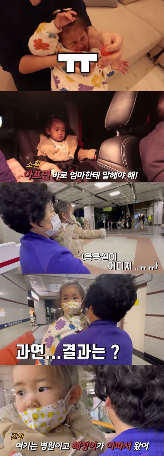 유튜브 '진화&마마TV' 캡처