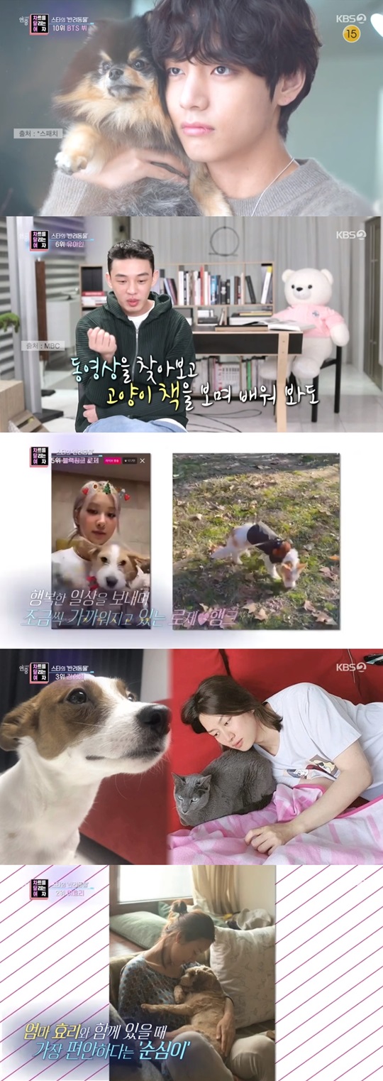 '연중 라이브' 캡처