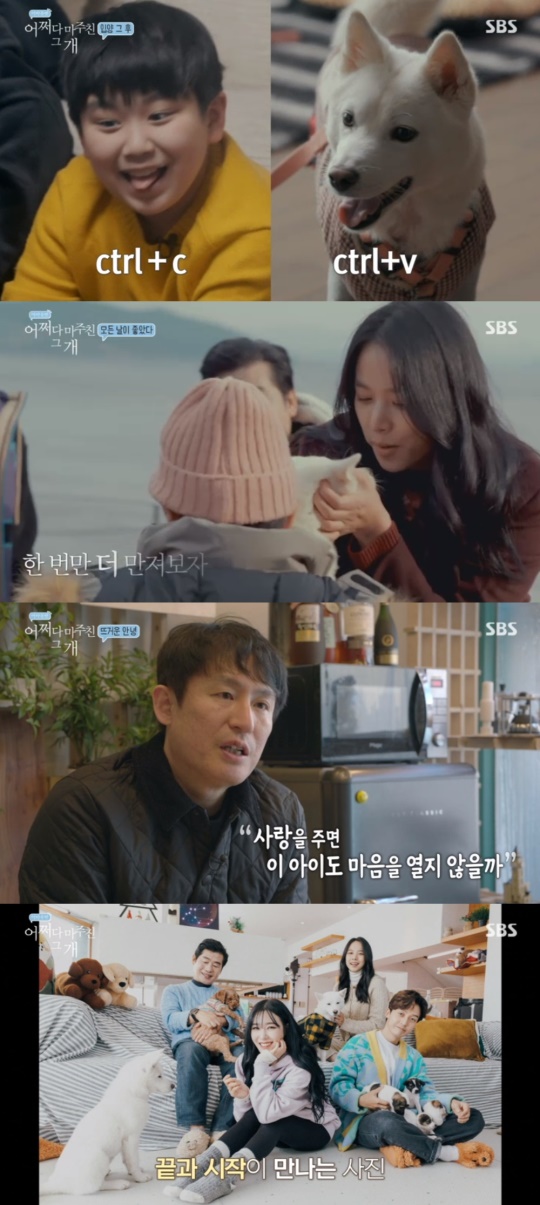 '어쩌다 마주친 그 개' 방송캡쳐