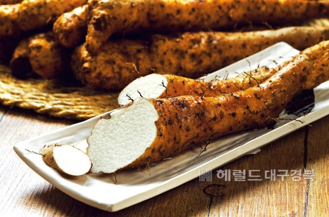안동산약 (헤럴드 DB)