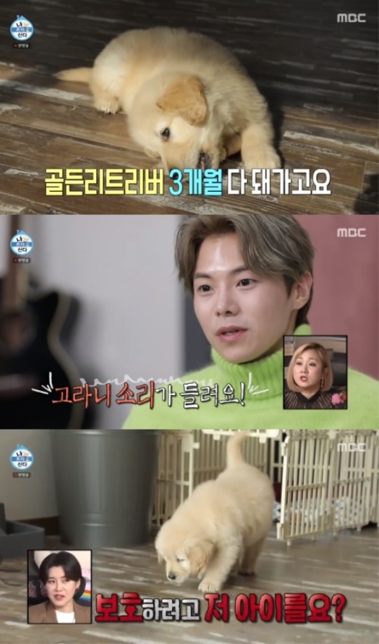 사진=방송화면 캡처