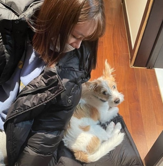 혜리 인스타