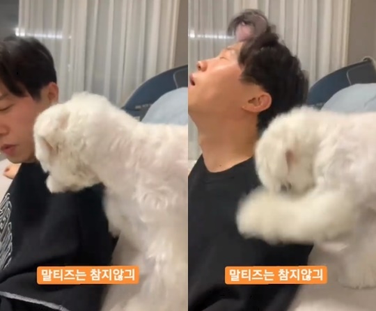 박성광 인스타그램
