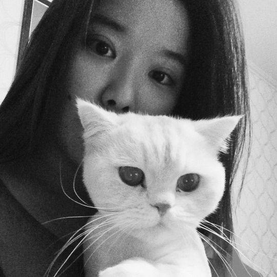 호란 인스타그램