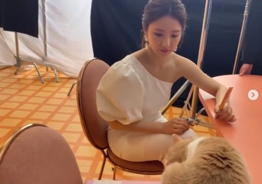 신세경 인스타