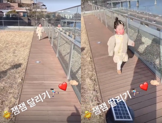 잼잼이 인스타그램