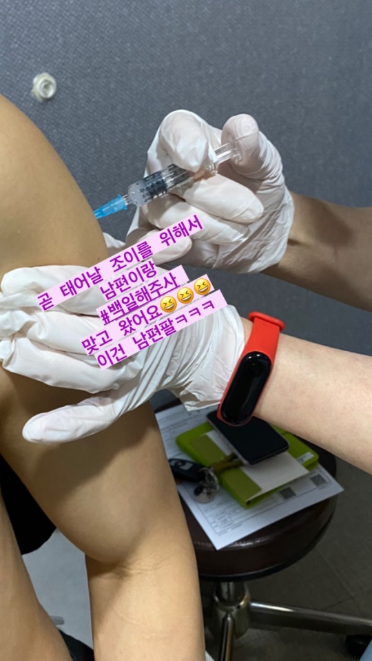 나비 인스타그램