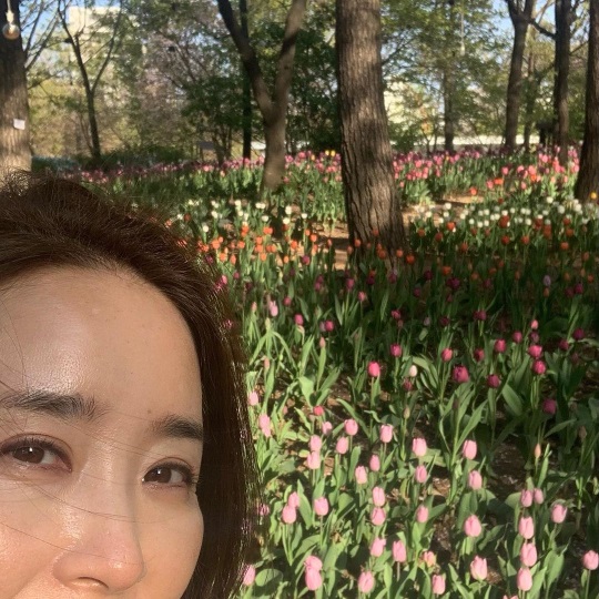 윤유선 인스타