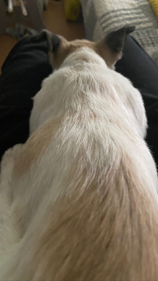 로꼬 인스타그램 스토리