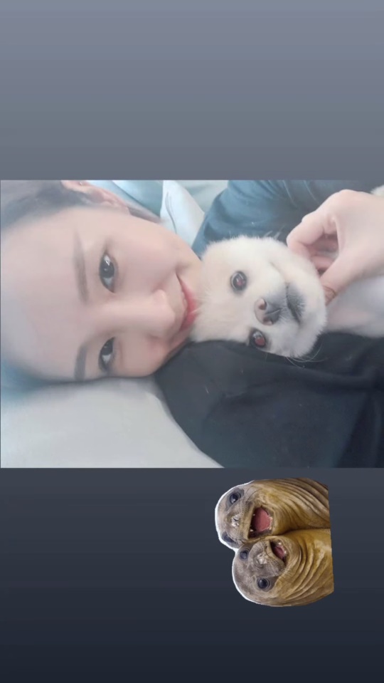 오정연 인스타그램 스토리