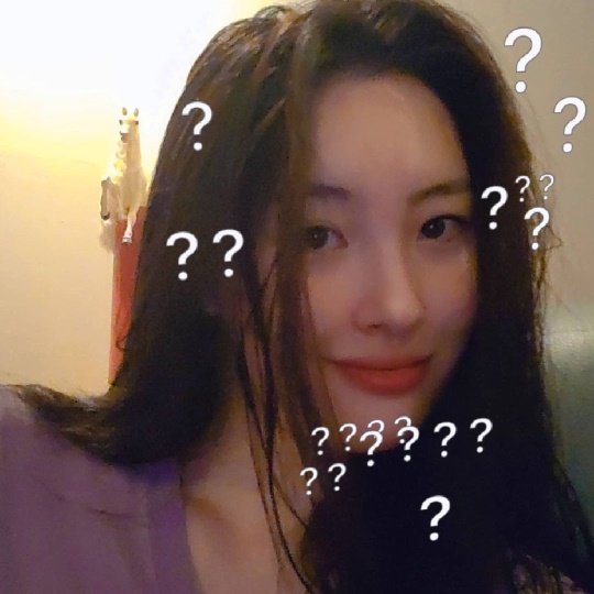 선미 인스타그램