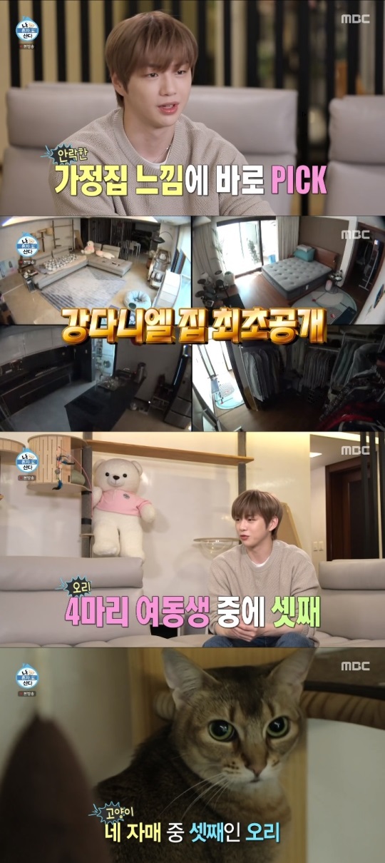 MBC '나혼산' 방송캡쳐