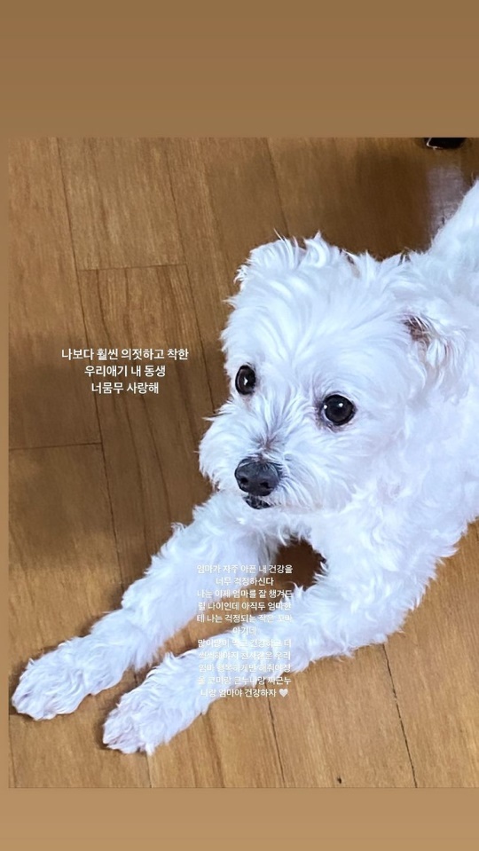 홍지윤 스토리