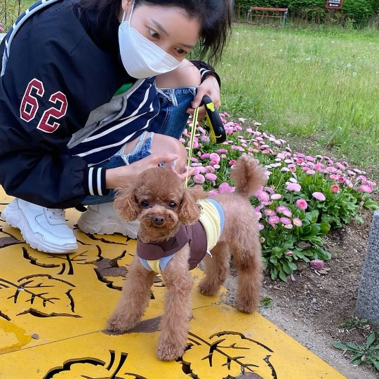 윤세아 인스타그램