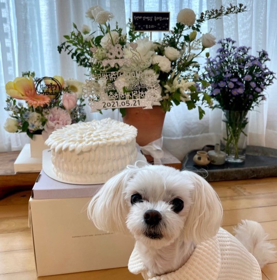 김진호 인스타그램