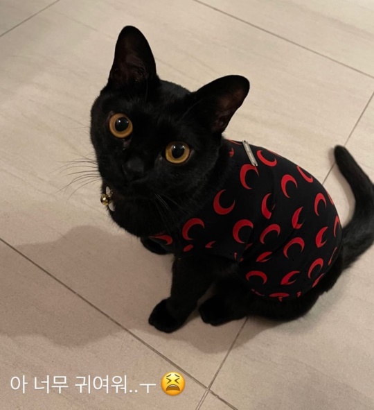 전소미 스토리