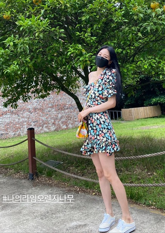 한예슬 인스타그램