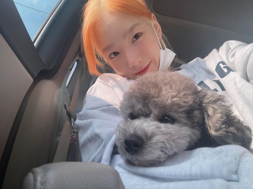 사진=태연 인스타그램