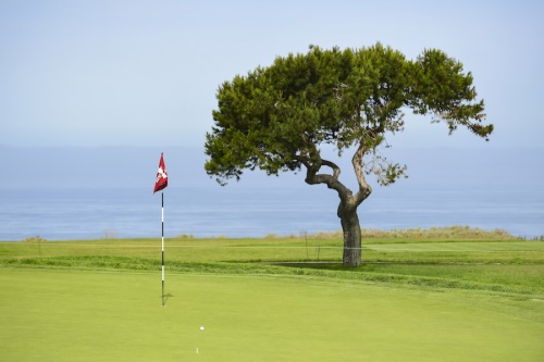 제 121회 US오픈이 토리파인스 남코스에서 개최된다. [사진=USGA]