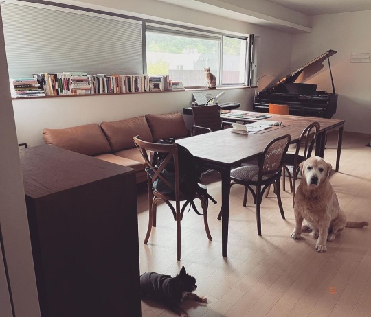 구혜선 인스타그램
