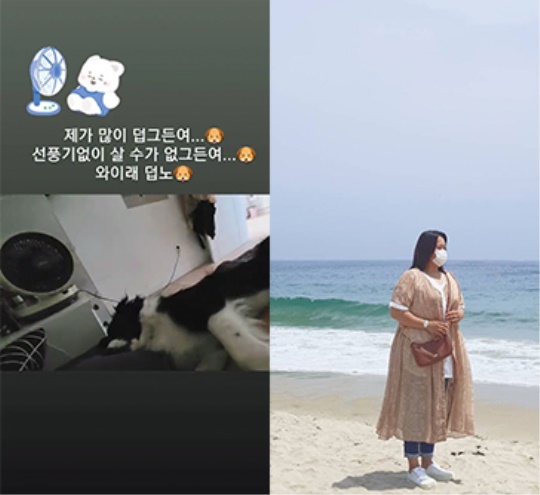하재숙 스토리