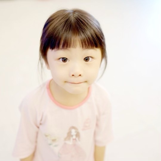잼잼이 인스타그램