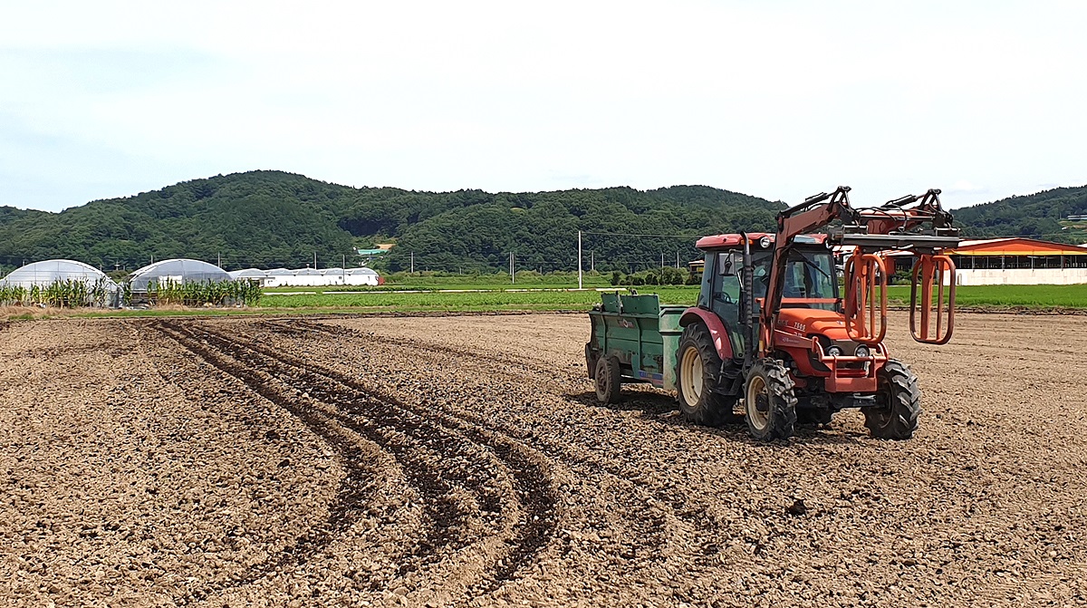 상주시가 환경과 조화를 이루는 축산업을 위해 축산분뇨로 만든 퇴비를 경작지에 뿌리고 있다(상주시 제공)