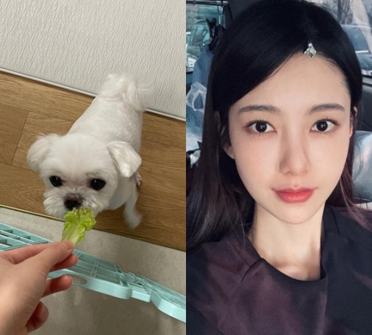 나혜미 인스타그램